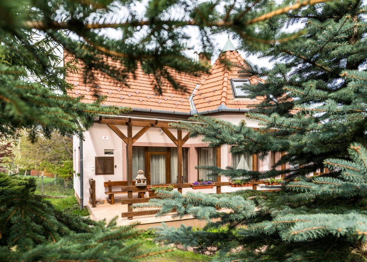 Belle-aire Vendeghaz Matraszentlaszlo Villa Matraszentimre